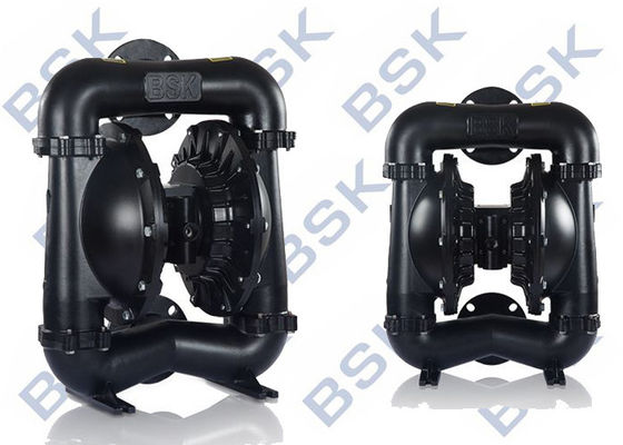 Food / Chemical Positive Displacement Pump Corrosion Resistant